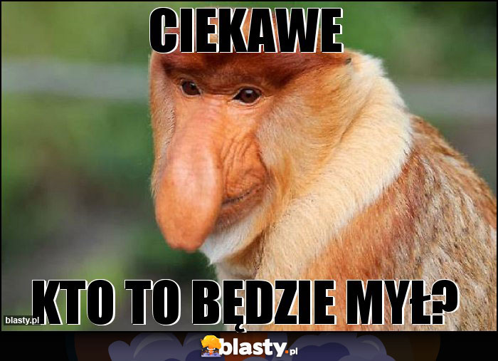 Ciekawe