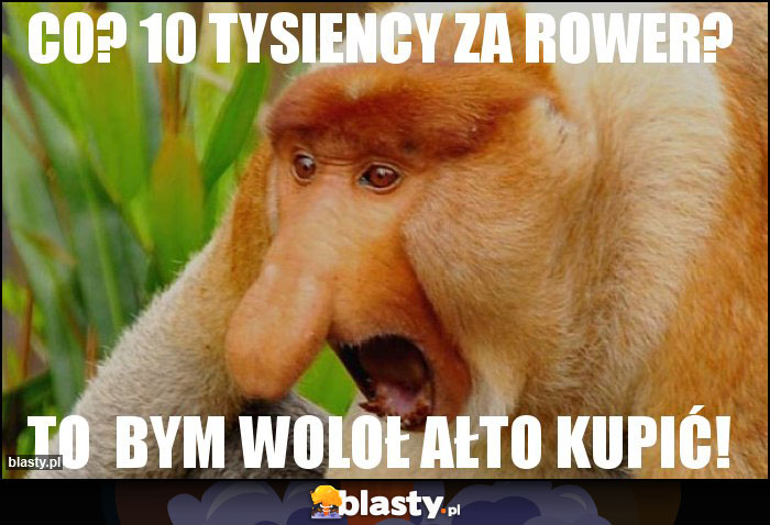 CO? 10 TYSIENCY ZA ROWER?