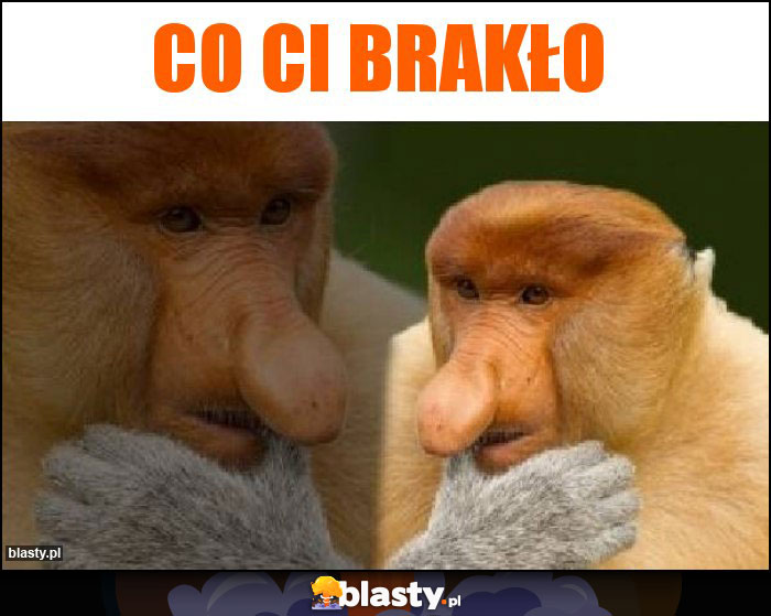 Co ci brakło