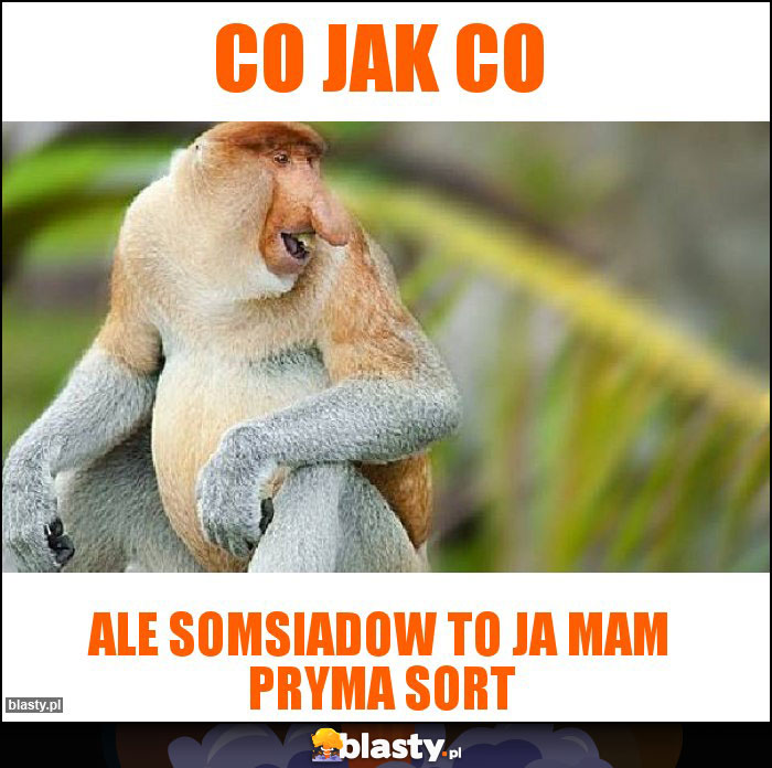 CO JAK CO