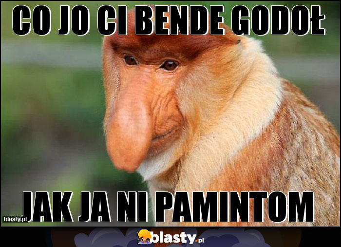 Co jo Ci bende godoł