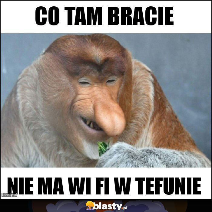 Co tam bracie