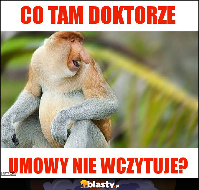 CO TAM DOKTORZE