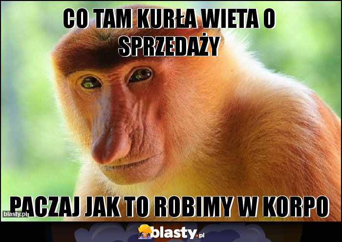 Co tam kurła wieta o sprzedaży