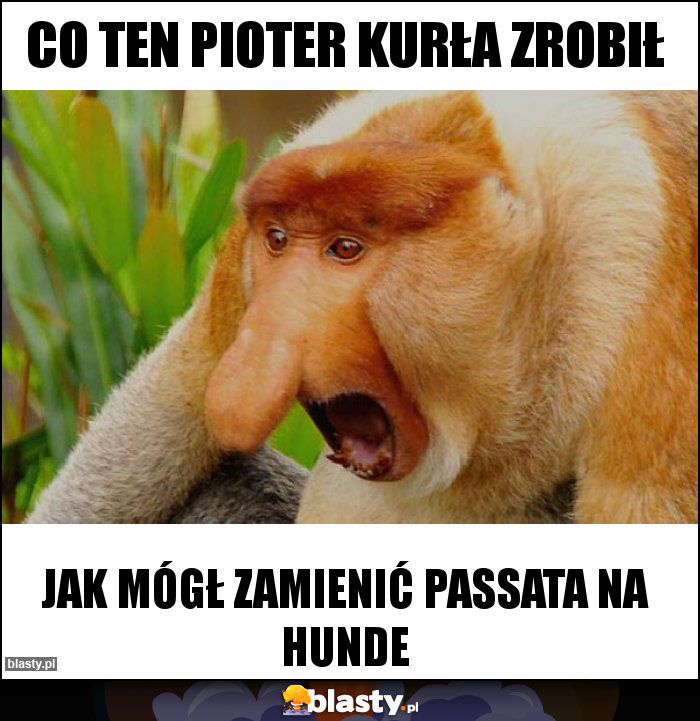 Co ten Pioter kurła zrobił