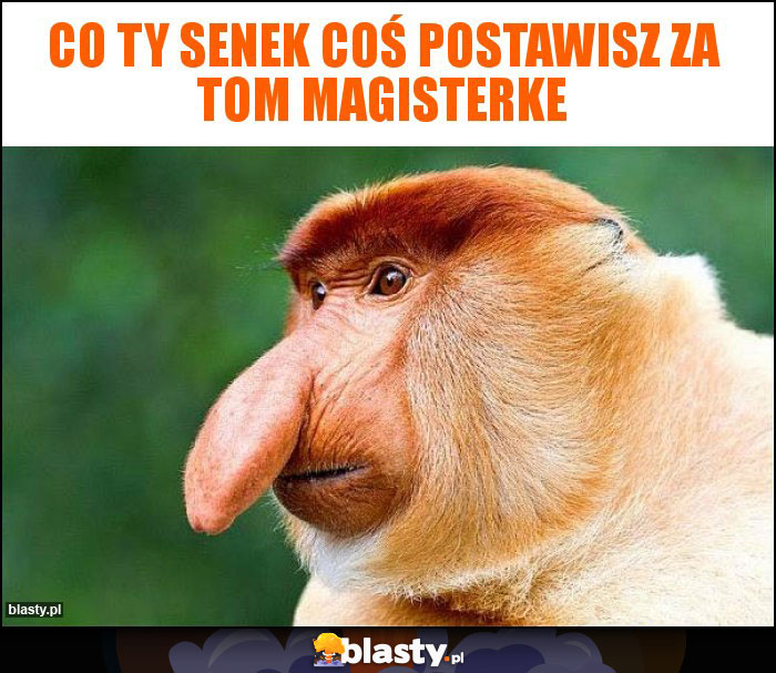 Co Ty senek coś postawisz za tom magisterke