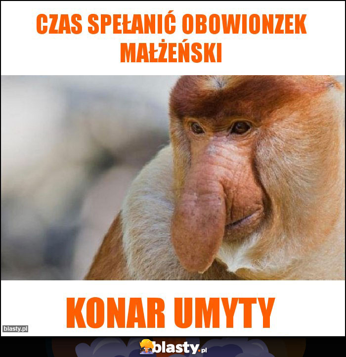 Czas spełanić obowionzek małżeński