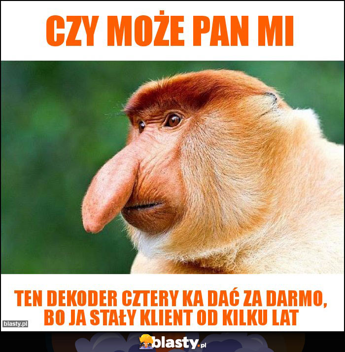 Czy może pan mi