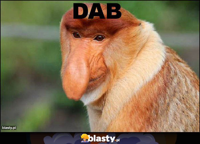 DAB