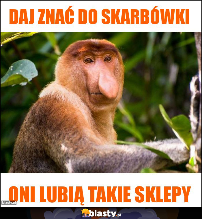 Daj znać do skarbówki