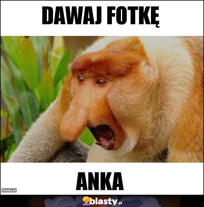 Dawaj fotkę