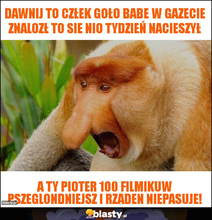 dawnij to człek goło babe w gazecie znalozł to sie nio tydzień nacieszył