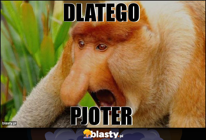 dlatego