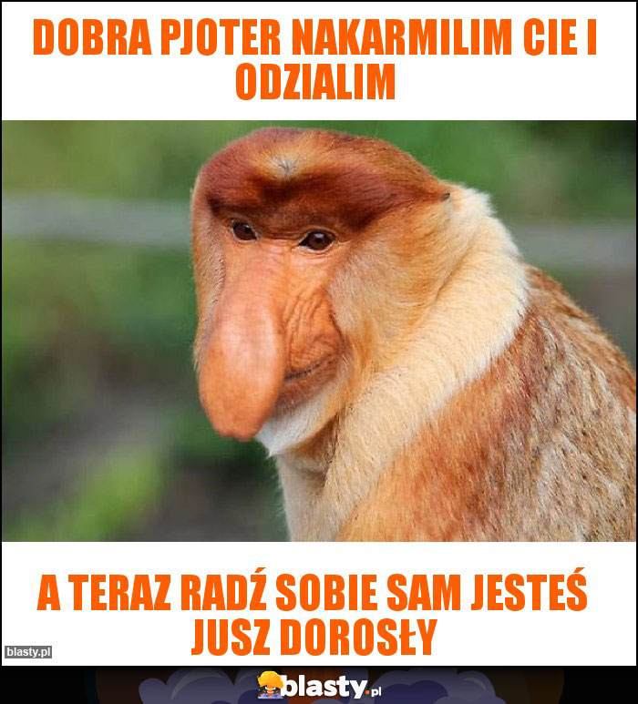 DOBRA PJOTER NAKARMILIM CIE I ODZIALIM