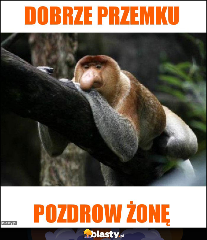 Dobrze przemku