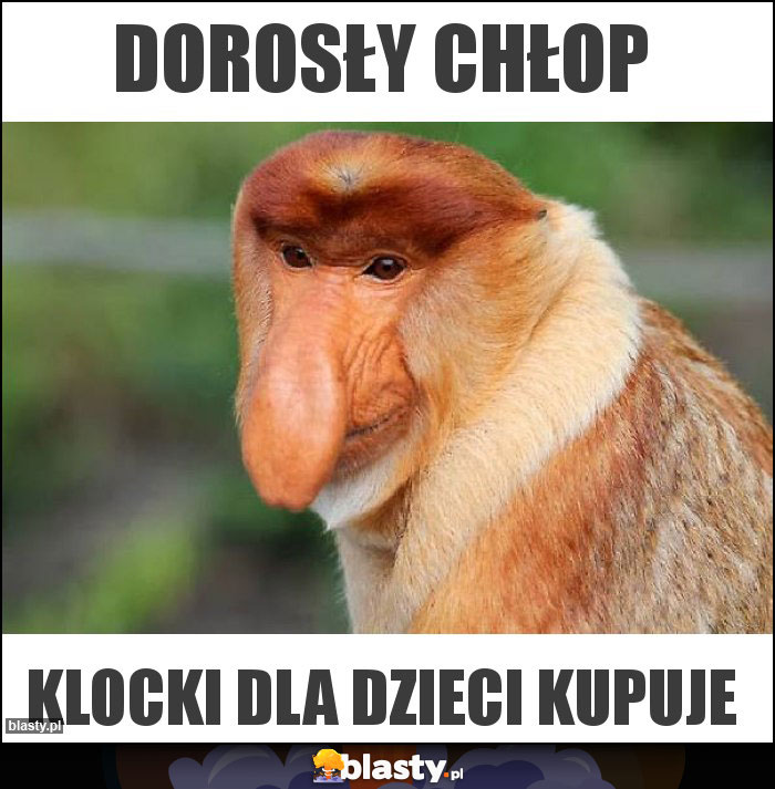 Dorosły chłop