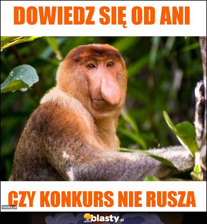 DOWIEDZ SIĘ OD ANI