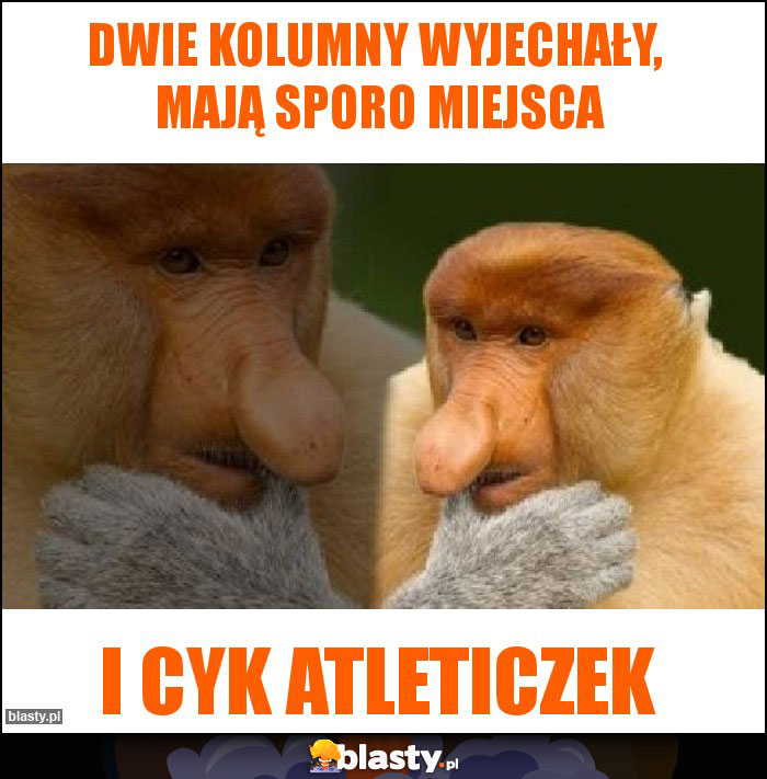 dwie kolumny wyjechały,  mają sporo miejsca