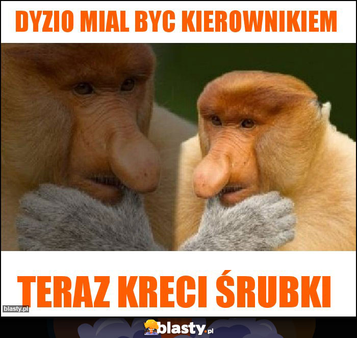 Dyzio mial byc kierownikiem