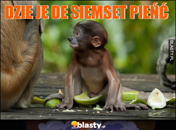 DZIE JE DE SIEMSET PIEŃĆ