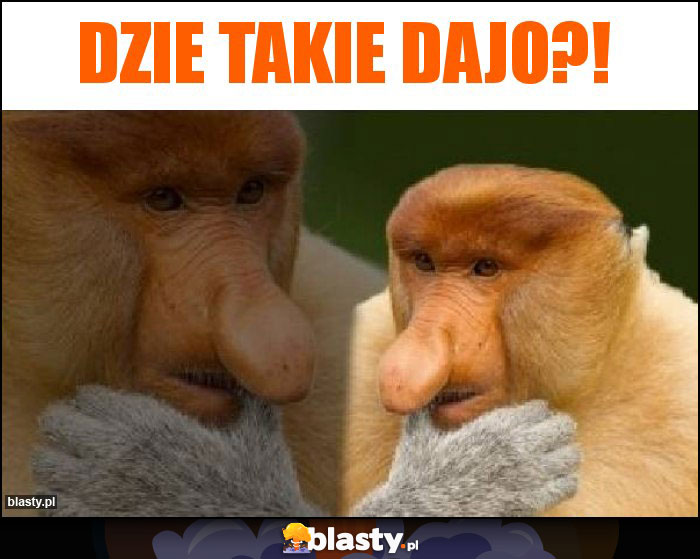 Dzie takie dajo?!