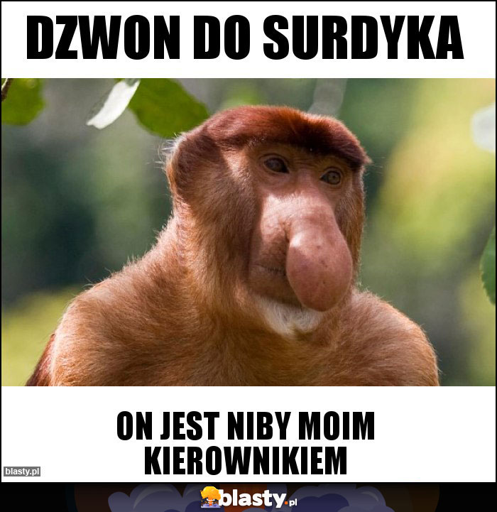 Dzwon do surdyka