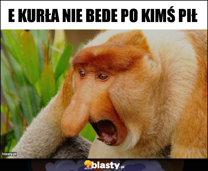 E kurła nie bede po kimś pił