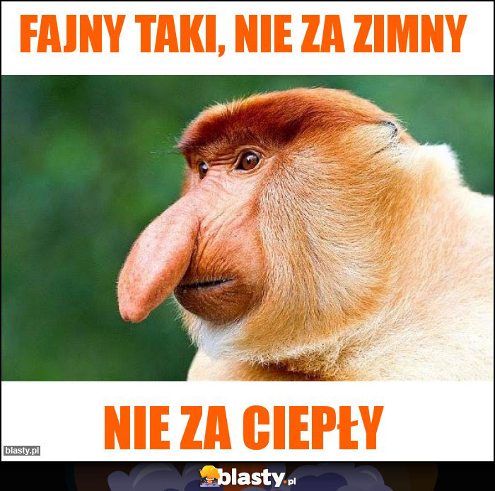 Fajny taki, nie za zimny