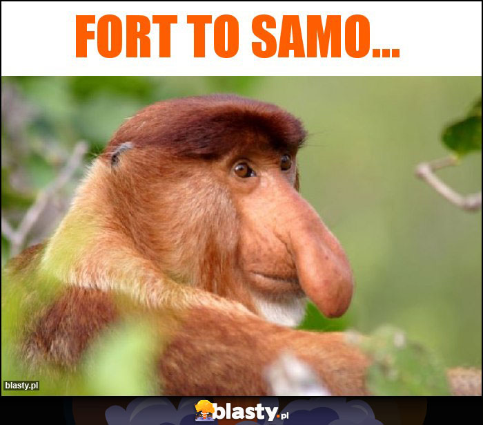 Fort to samo...