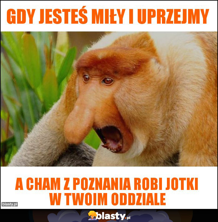 GDY JESTEŚ MIŁY I UPRZEJMY