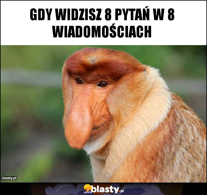 GDY WIDZISZ 8 PYTAŃ W 8 WIADOMOŚCIACH