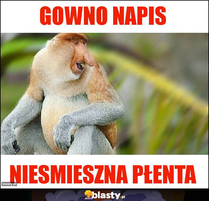 GOWNO NAPIS