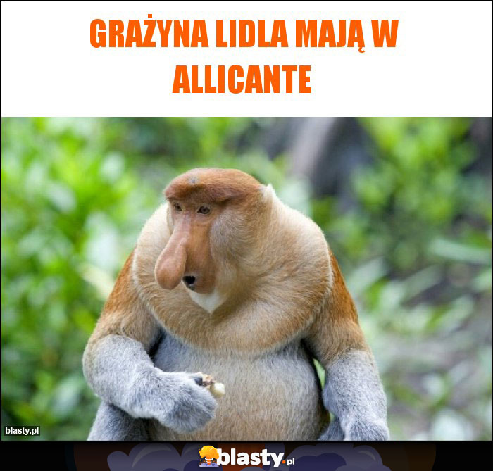 Grażyna Lidla mają w Allicante