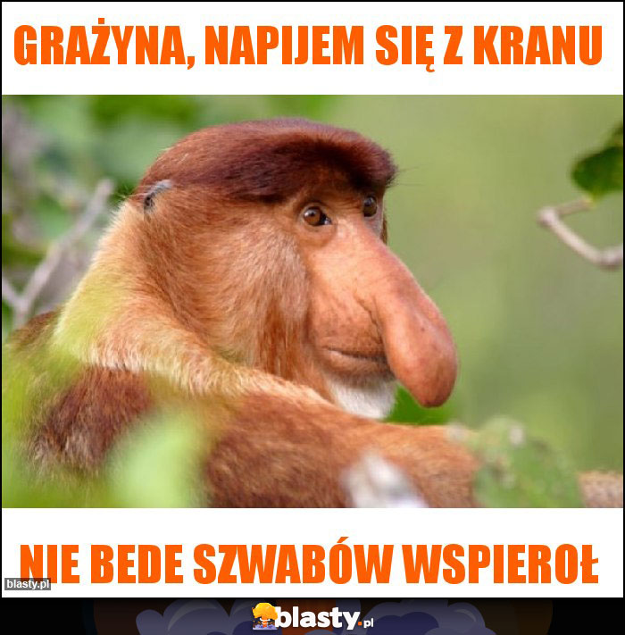 Grażyna, napijem się z kranu