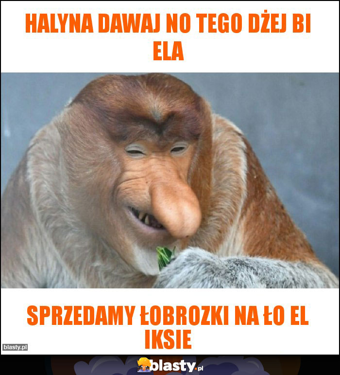 Halyna dawaj no tego dżej bi ela