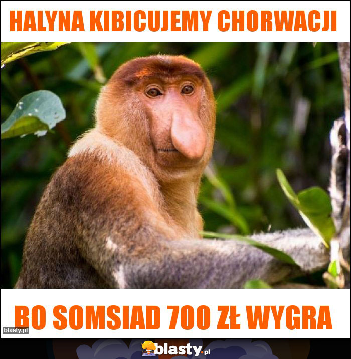 Halyna kibicujemy Chorwacji