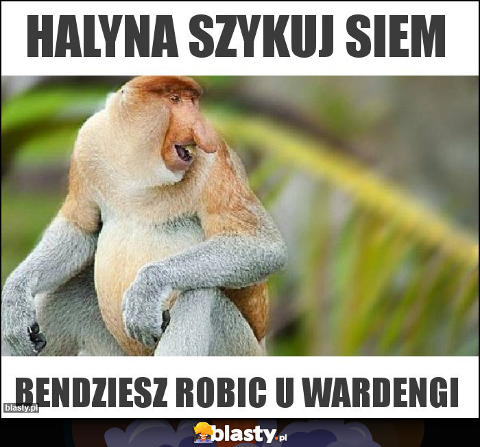 Halyna szykuj siem