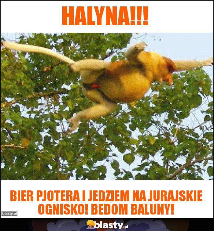 Halyna!!!