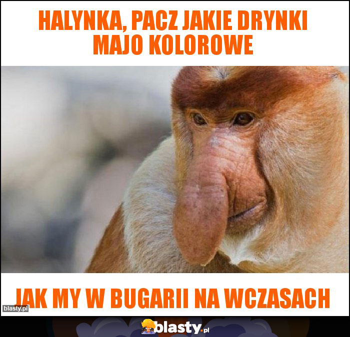 Halynka, pacz jakie drynki majo kolorowe