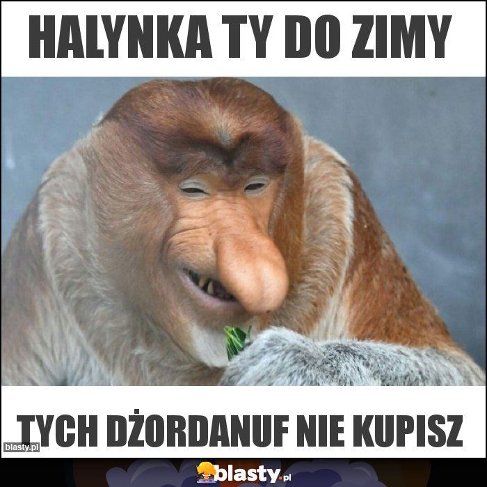 Halynka ty do zimy