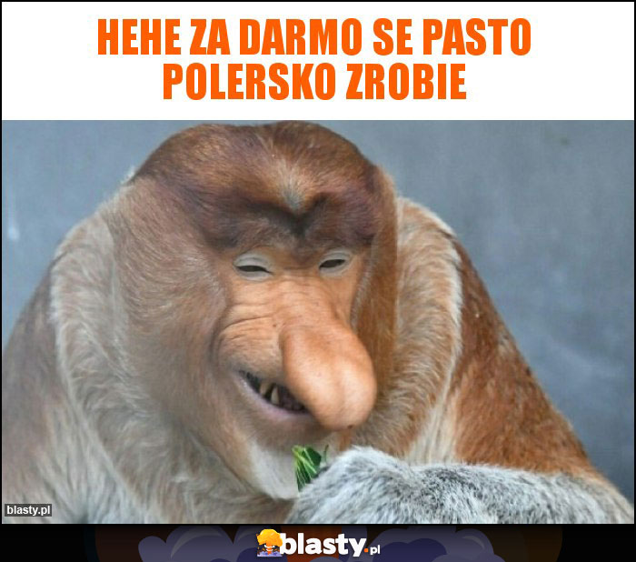 HEHE ZA DARMO SE PASTO POLERSKO ZROBIE