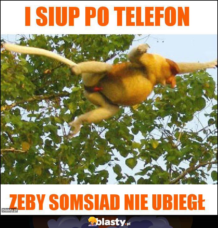 I siup po telefon