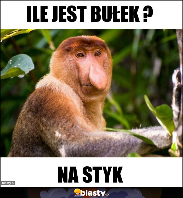 Ile jest bułek ?