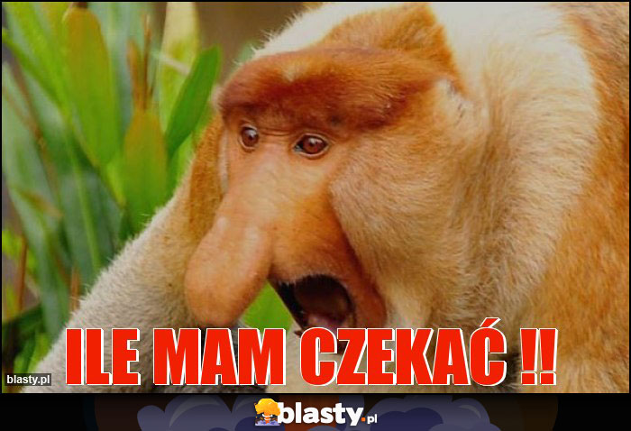 Ile mam czekać !!