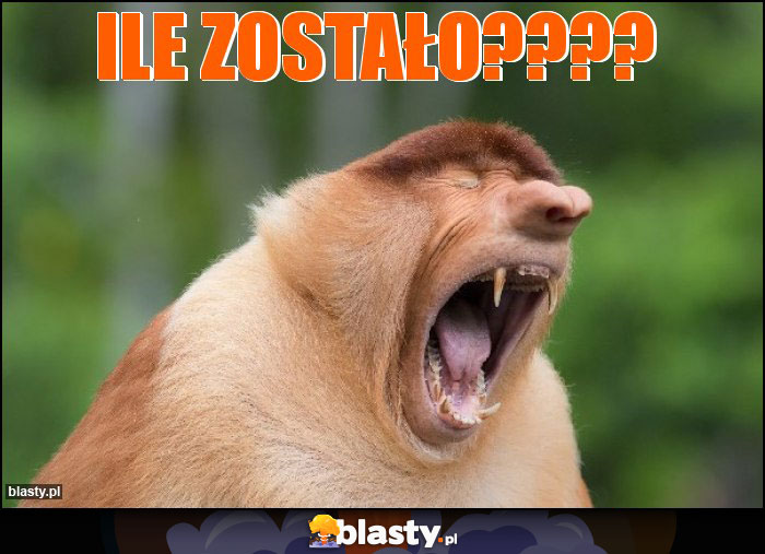 Ile zostało????