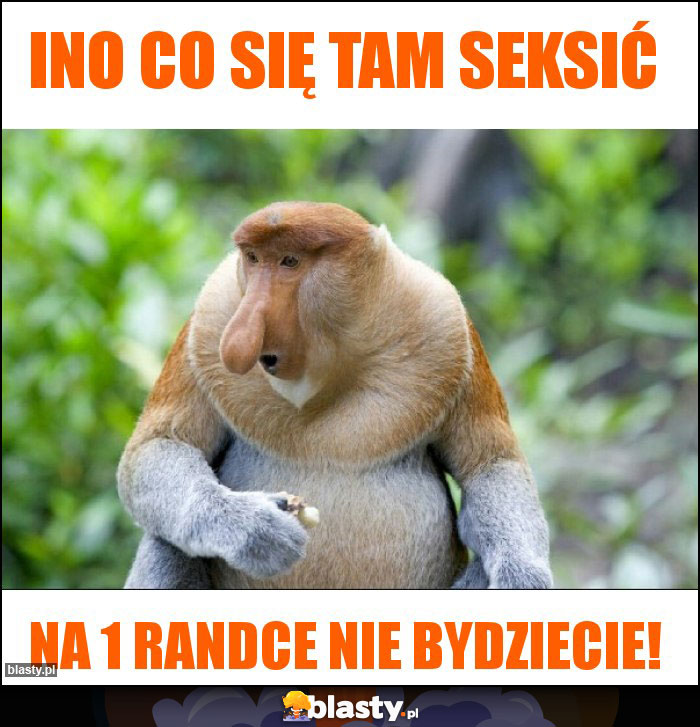 Ino co się tam seksić