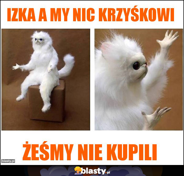 Izka a my nic krzyśkowi