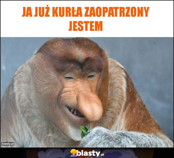 Ja już kurła zaopatrzony jestem