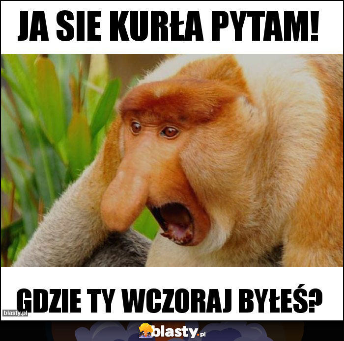 Ja sie kurła pytam!