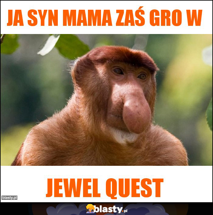 Ja syn mama zaś gro w